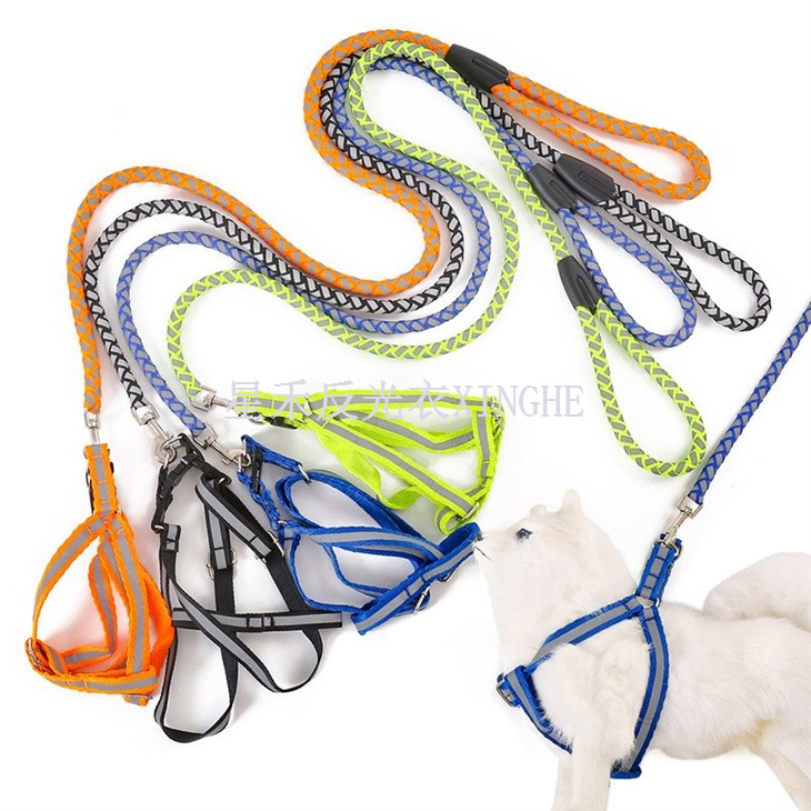 Endurskinsandi gæludýrahundaól