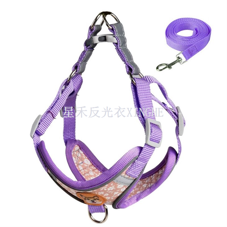 Öryggis endurskinsbandshundur